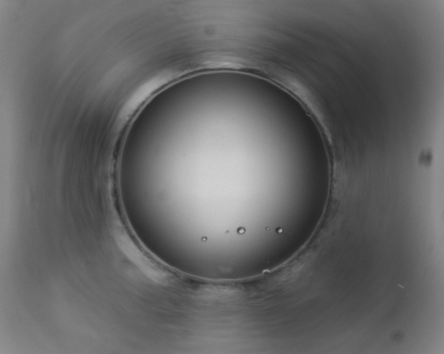 X0000112961187200908271109