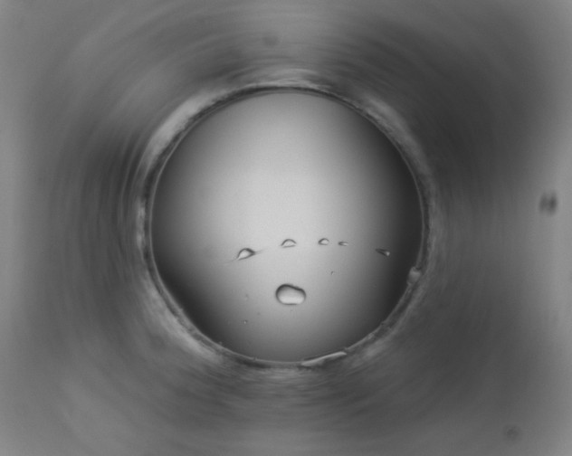 X0000112961188200908271109