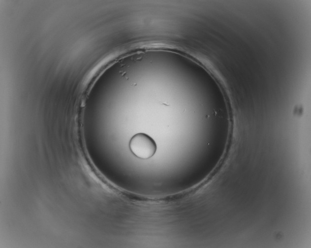 X0000112961189200908271109