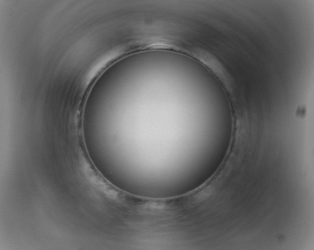 X0000112961190200908271109