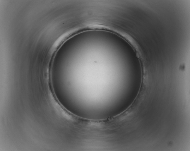 X0000112961191200908271109