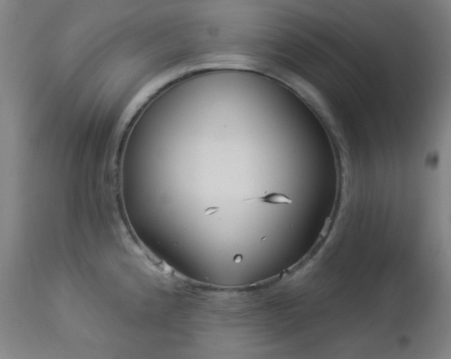 X0000112961192200908271109