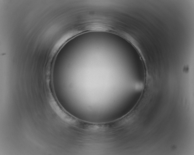 X0000112961195200908271108