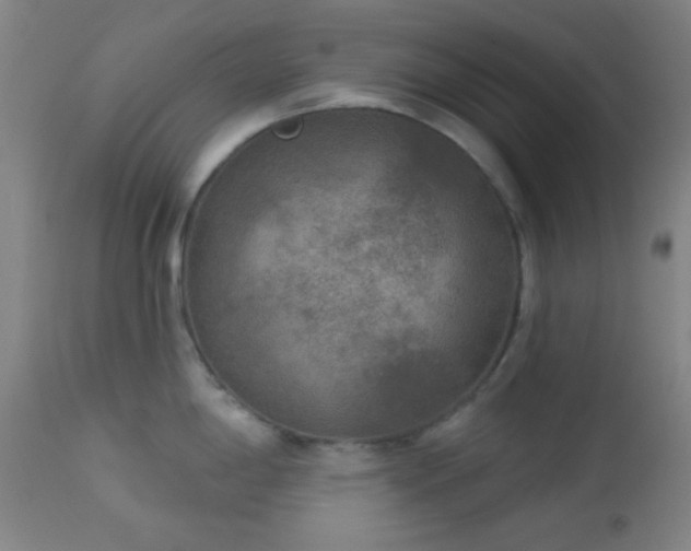 X0000112961198200908271108