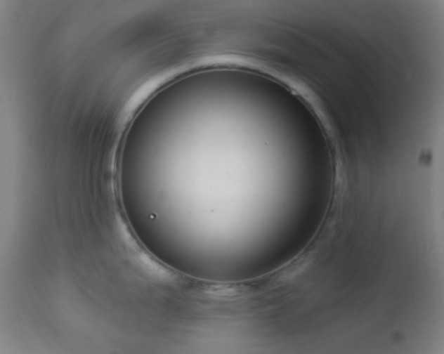 X0000112961199200908271108