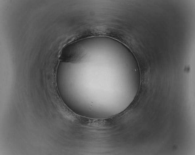 X0000112961201200908271108