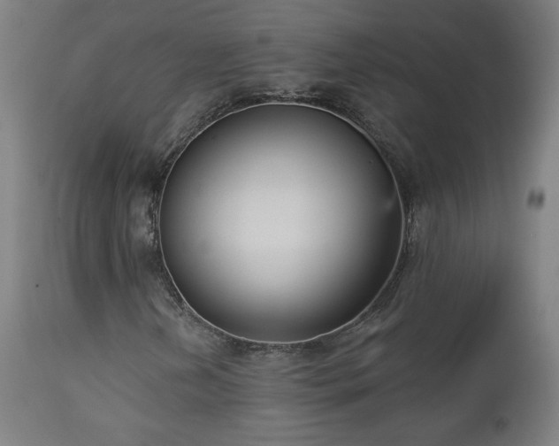 X0000112961202200908271108