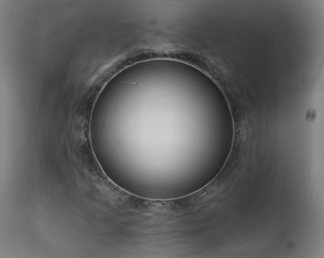 X0000112961205200908271108