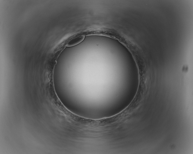 X0000112961206200908271108