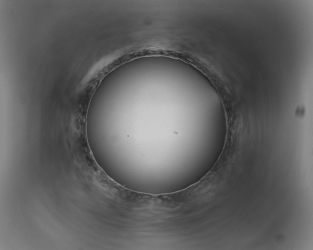 X0000112961207200908271108