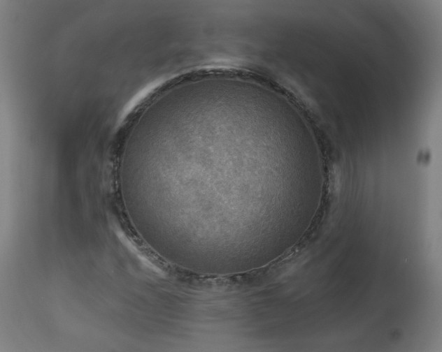 X0000112961208200908271108