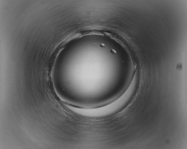 X0000112961209200908271108