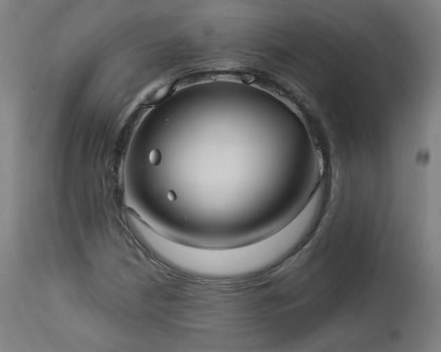 X0000112961210200908271108