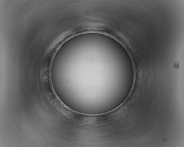 X0000112961211200908271108