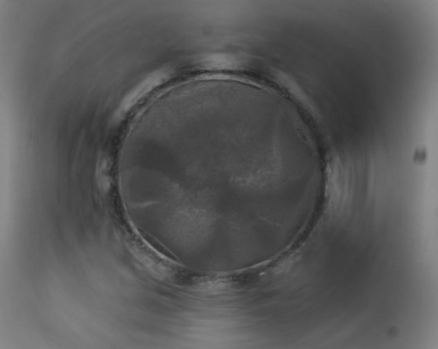 X0000112961213200908271108