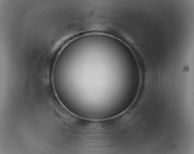 X0000112961214200908271108