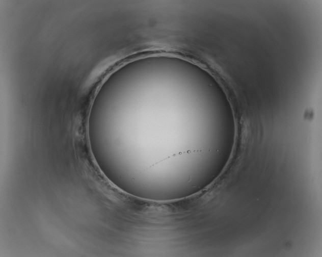 X0000112961215200908271108