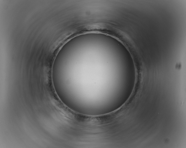 X0000112961217200908271108