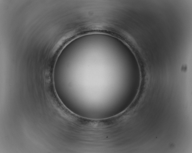 X0000112961218200908271108