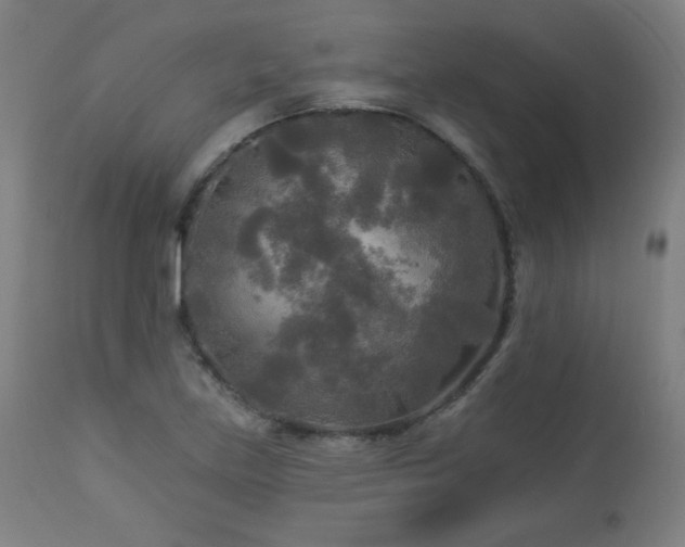 X0000112961219200908271108