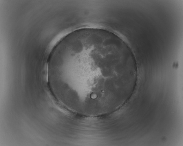 X0000112961223200908271108