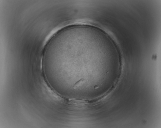 X0000112961224200908271108