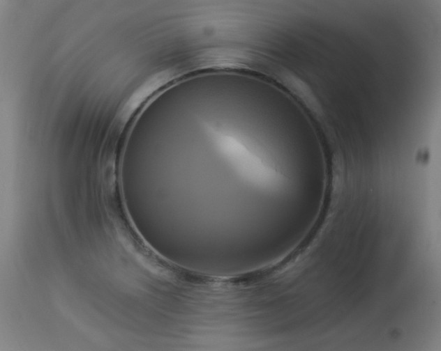 X0000112961226200908271108