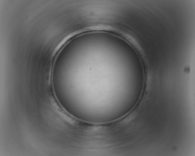 X0000112961228200908271108