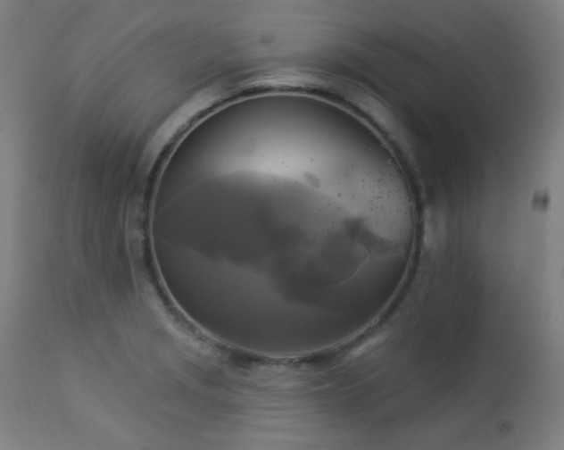 X0000112961229200908271108