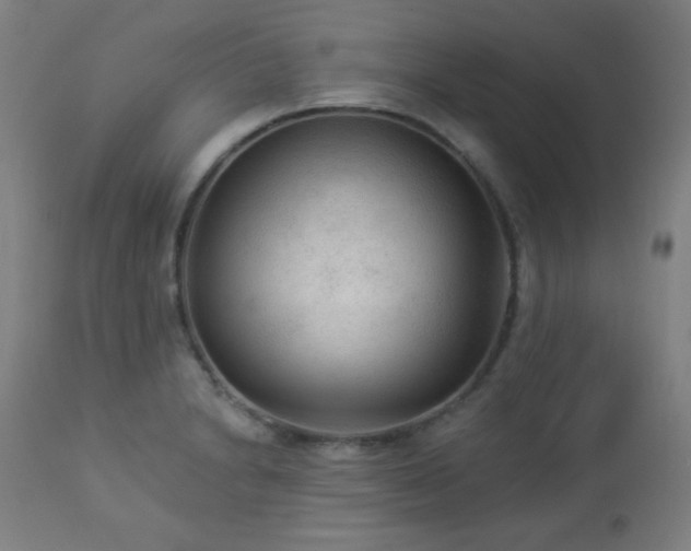 X0000112961230200908271108