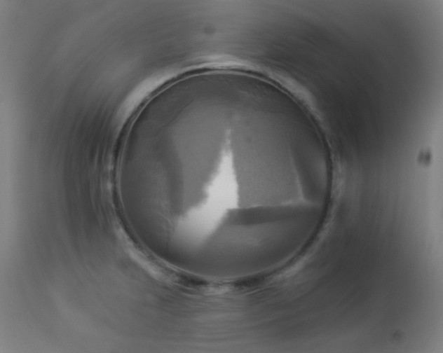 X0000112961231200908271108