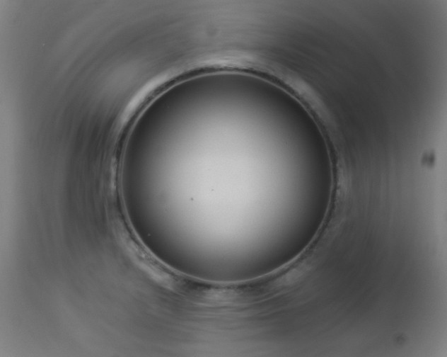 X0000112961232200908271108