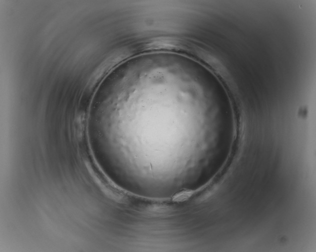 X0000112961233200908271108