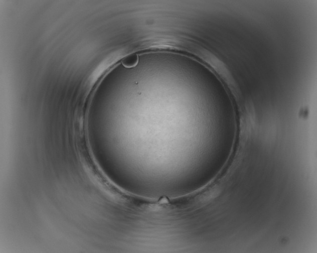 X0000112961234200908271108