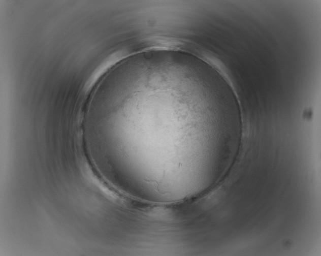 X0000112961235200908271108