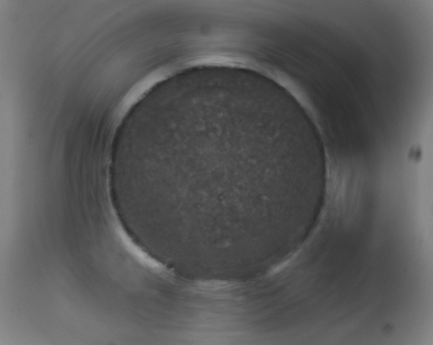 X0000112961237200908271108