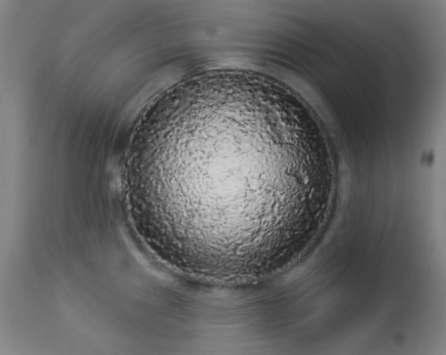 X0000112961241200908271108