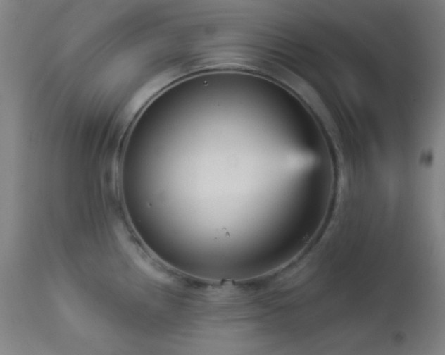 X0000112961242200908271108