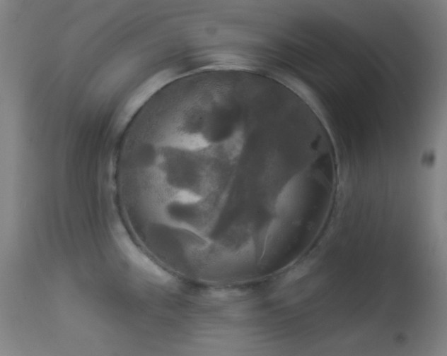 X0000112961243200908271108