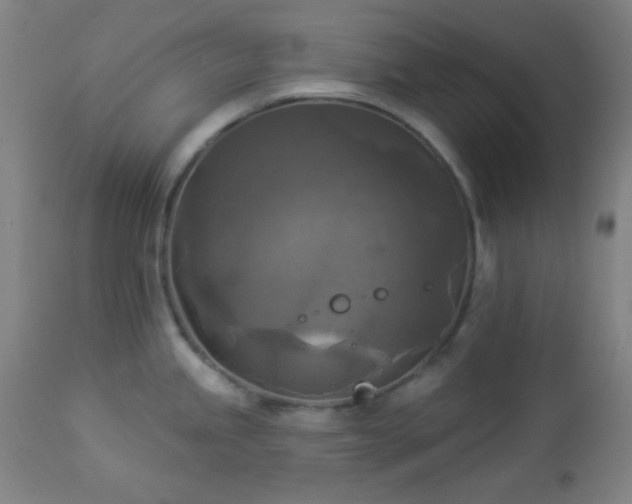 X0000112961245200908271108