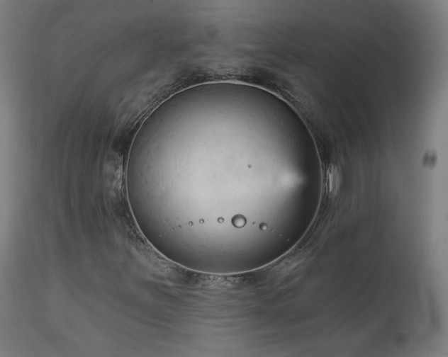 X0000112961251200908271108