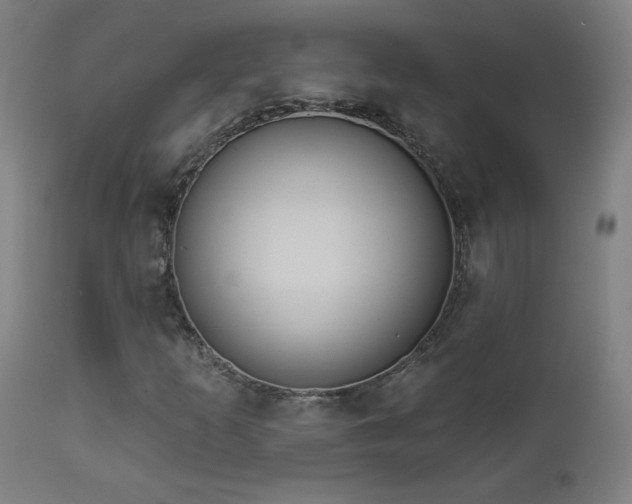 X0000112961253200908271107