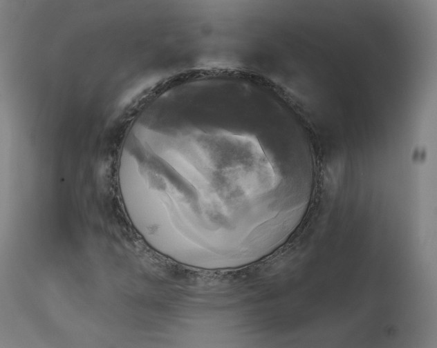 X0000112961254200908271107