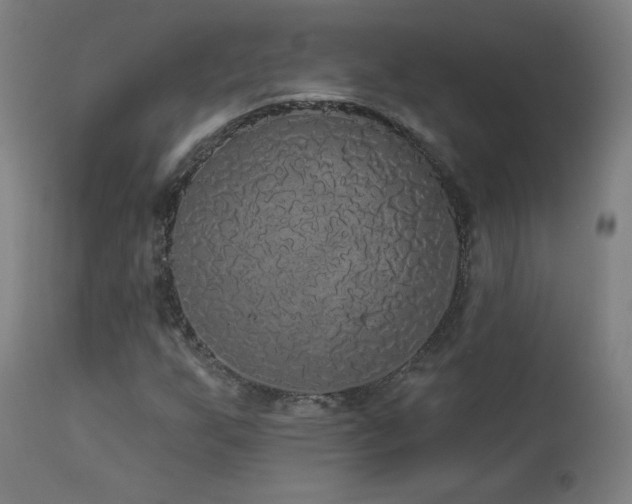 X0000112961255200908271107