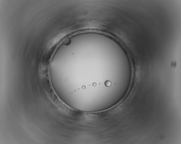 X0000112961258200908271107