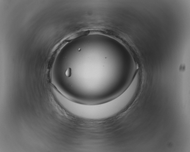 X0000112961260200908271107