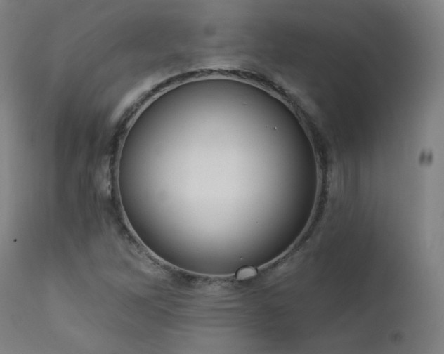 X0000112961262200908271107