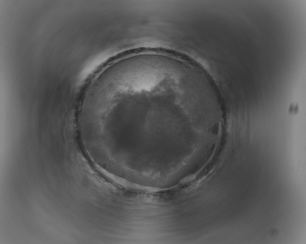 X0000112961263200908271107