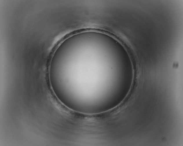 X0000112961264200908271107