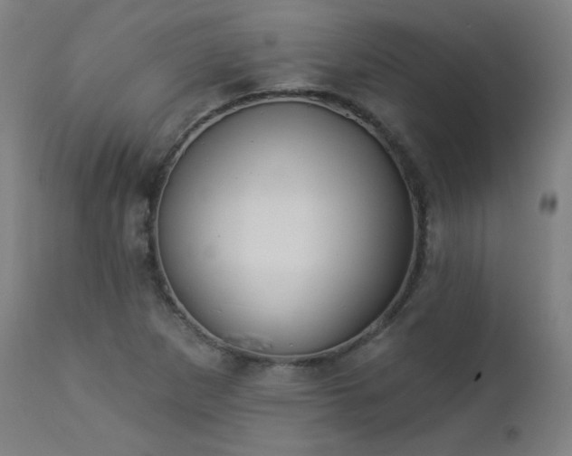 X0000112961265200908271107